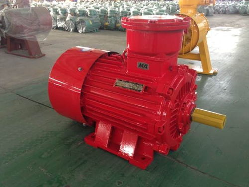 防爆電機的定義和特點是什么